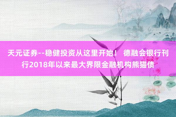 天元证券--稳健投资从这里开始！ 德融会银行刊行2018年以来最大界限金融机构熊猫债